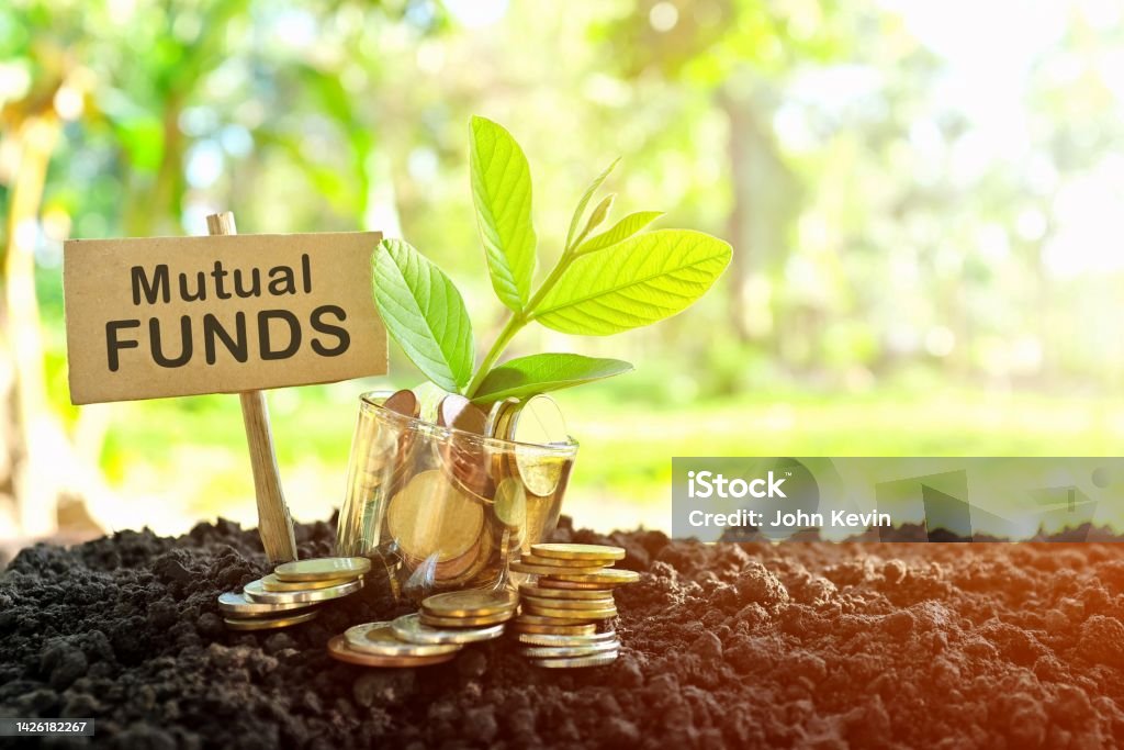 Mutual Fund Investments